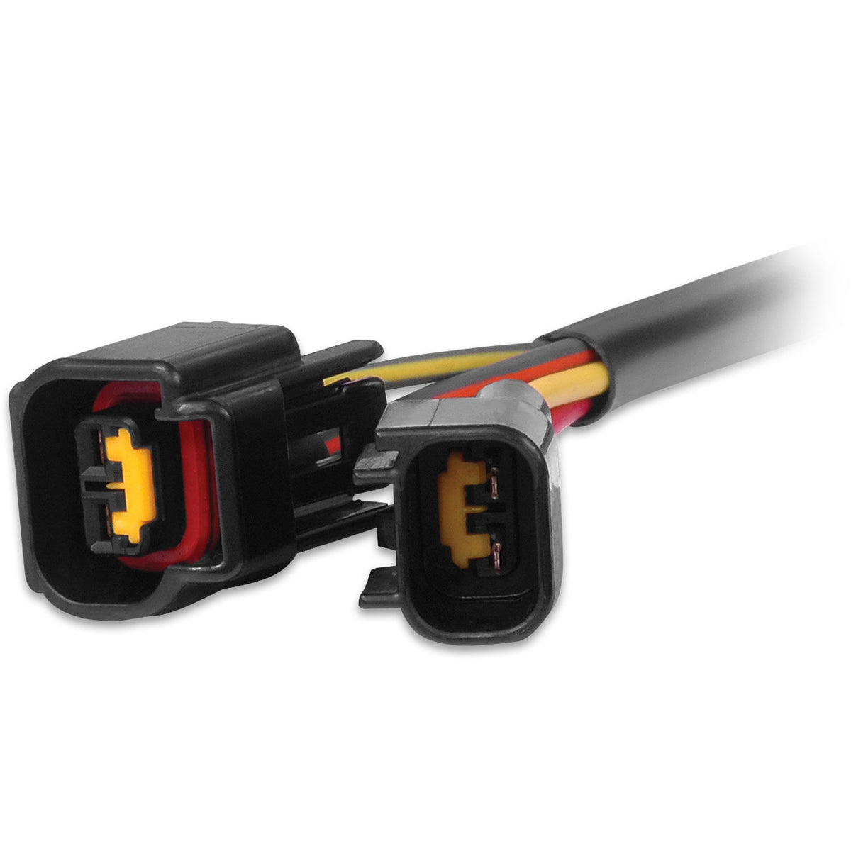 MSD 88813 - DIS-4 to Ford 4.6L Modular Harness – Complete Street ...
