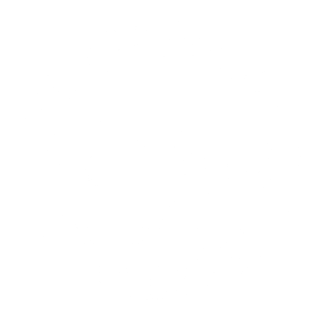 Product Brand Image